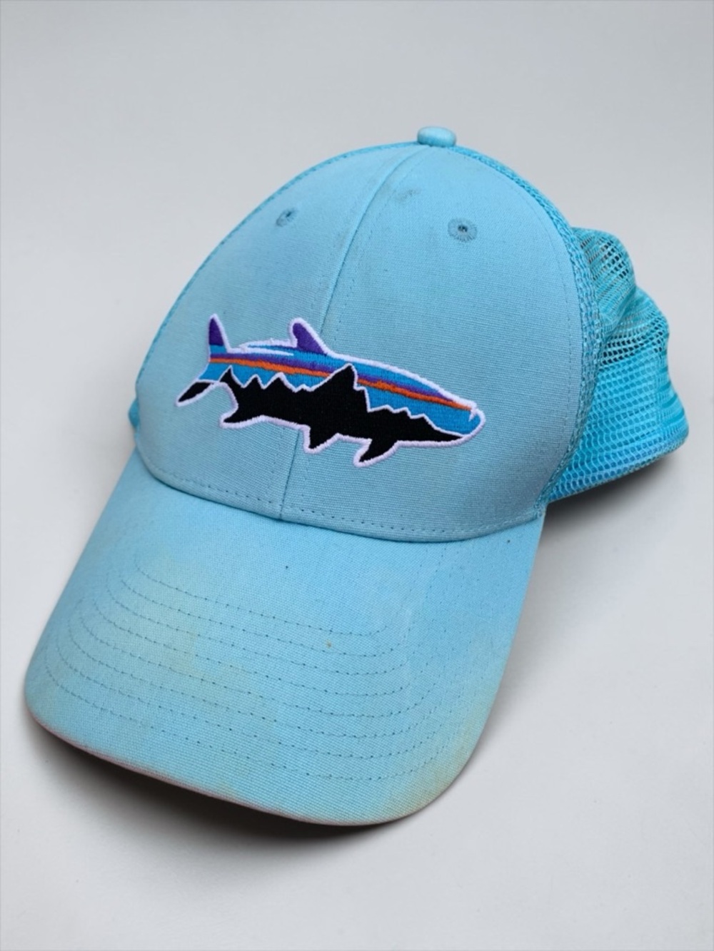 Patagonia Turquoise Blue Cap with Trout